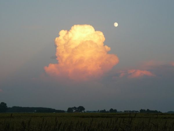 image-2014-07-11