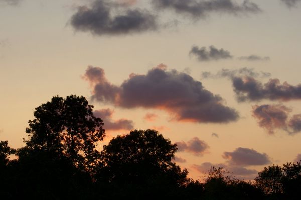 image-2014-08-07