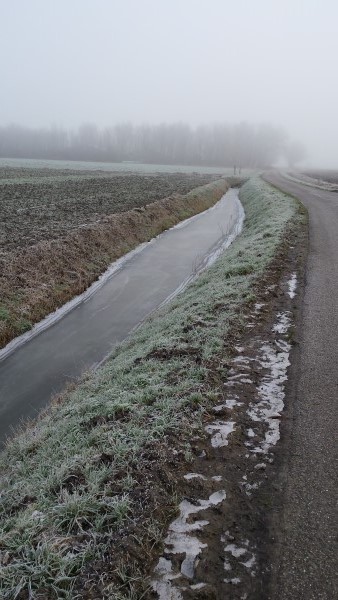 winter2016