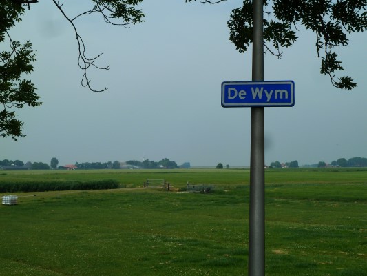 wym1