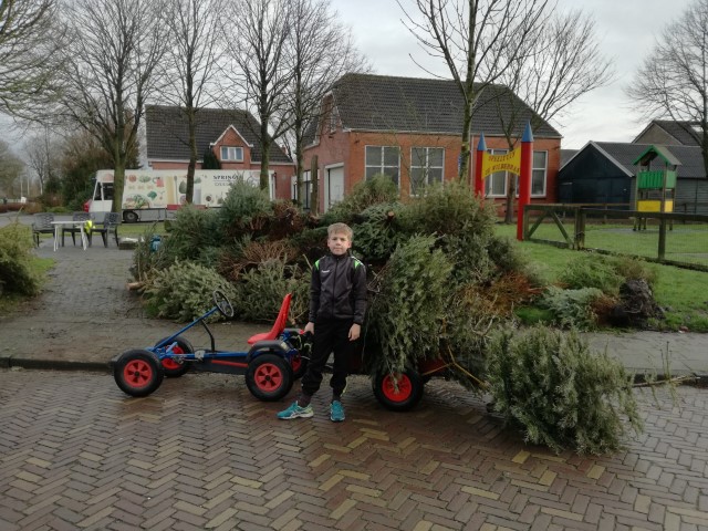 kerstbomen1