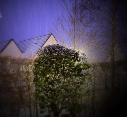 winter2018 3