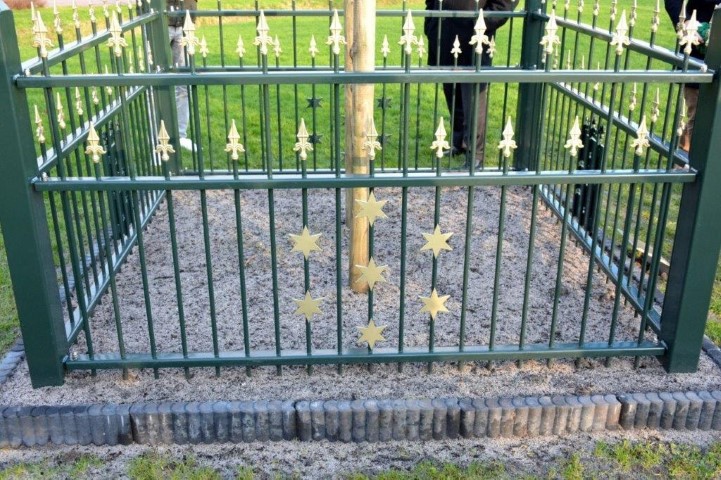 gemeenteboom6