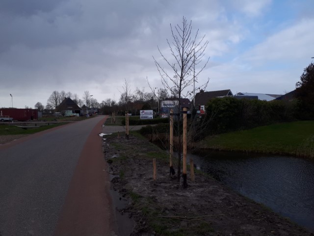 bomen6