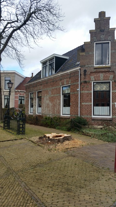 bomen7