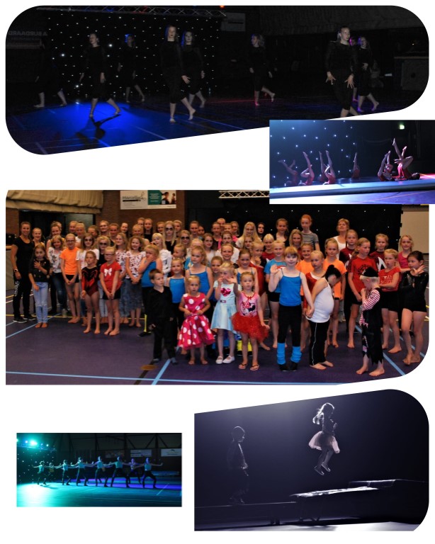 svkv demo 2019