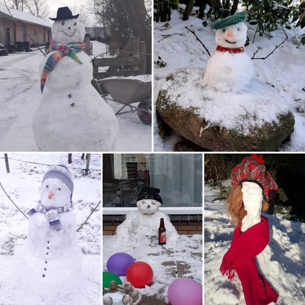 collage sneeuwpoppen 2