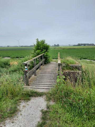 kowebrege2 Klein
